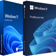Windows 11 Pro.Enterprise 23H2 Build 26100.3624.png