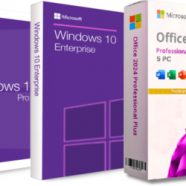 Windows 10 Pro_Enterprise 22H2 off.png
