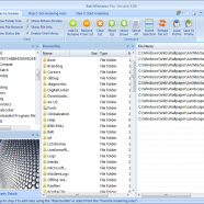 BatchRename Pro screen.png