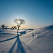 pen_ash-snow-10134653_1920.jpg
