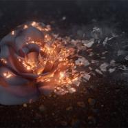 Gumroad - Ash Disintegration Houdini & Nuke VFX Course.jpg