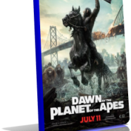 Apes.png