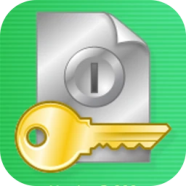 Guardian Of Data Professional.png
