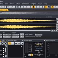 Acon Digital Acoustica Premium sc.jpg