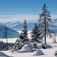 shogun-mountains-7777164_1920.jpg