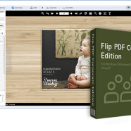 Flip PDF Corporate Edition screen.png