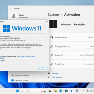 Windows 11 Enterprise 23H2 + office 2024 sc1.png