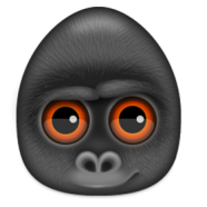 0063832e_medium.png