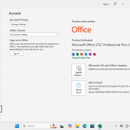 Windows 11 Enterprise 24H2 + o2024 2.png