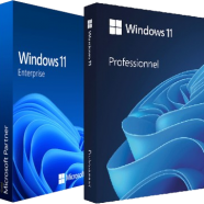 Windows 11 Pro.Enterprise 23H2 Build 26100.3624.png
