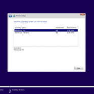 Windows 11 Pro_Ent sc1.png