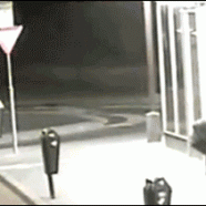 ladro-imbecille-esplosione-gif.gif
