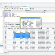 DbVisualizer Pro screen.jpg