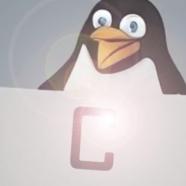 The Beginner's guide to Advanced C coding in Linux.jpg