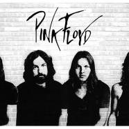 PPPINK floyd.jpg