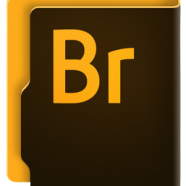 Adobe Bridge 2024.png