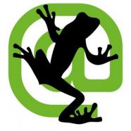 Screaming Frog SEO Spider.jpg