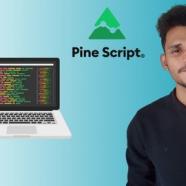 Learn Advance Trading Strategies & Indicators In Pinescript.jpg
