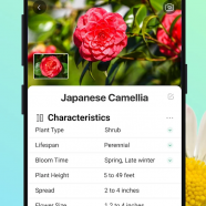 PictureThis - Plant Identifier sc.png