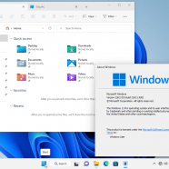 Windows 11 22H2 Pro screen.png