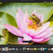 ACDSee Photo Studio Ultimate sc.jpeg