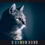 PhotoBoost sc.jpg