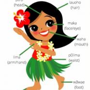 Learn the Body Parts in Hawaiian - Ka Mahele Kino.jpg