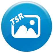 Watermark Image Professional.png