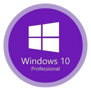 Windows 10 Pro.png