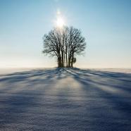 mbll-winter-1965902_1920.jpg