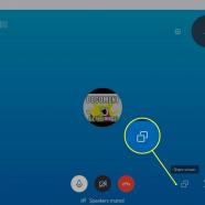 Skype screen.jpg