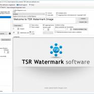 Watermark Image Professional sc it.jpg