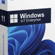 Windows 11 IoT Enterprise LTSC 24H2.jpg