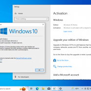 Windows 11 24H22.png