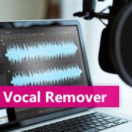 Ultimate Vocal Remover.jpg