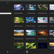 WidsMob Viewer Pro macos.jpg