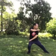 Sparring Tai Chi-Chen New Frame Routine Xinjia 2 For Fitness.png