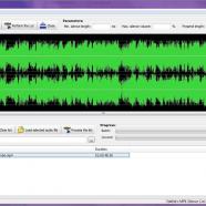 3delite MP4 Silence Cut screen.jpg