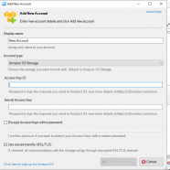 NetSDK Software S3 Browser Pro screen.png