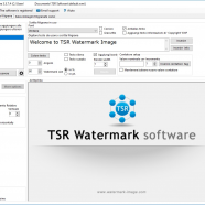 TSR Watermark Image Professional sc.png