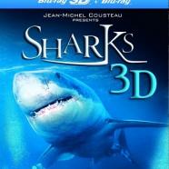 sharks.jpg