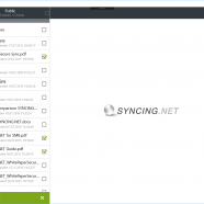 ASBYTE Syncing NET screen.png