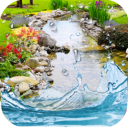 Water Garden Live Wallpaper.png