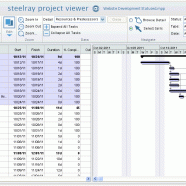 Steelray Project Viewer screen.gif
