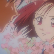 vlcsnap-2019-05-05-17h15m02s850.png