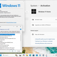 Windows 11 AIO 16in1 24H2 Build 26100.3915 sc.png