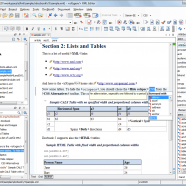 Oxygen XML Editor sc.png