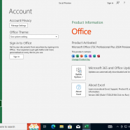 Windows 10 22H2 +office 2024 dc2.png