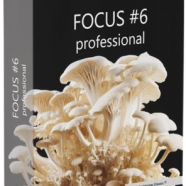 Franzis FOCUS.png