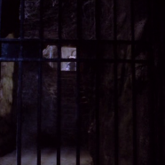 vlcsnap-2019-10-14-23h06m08s031.png